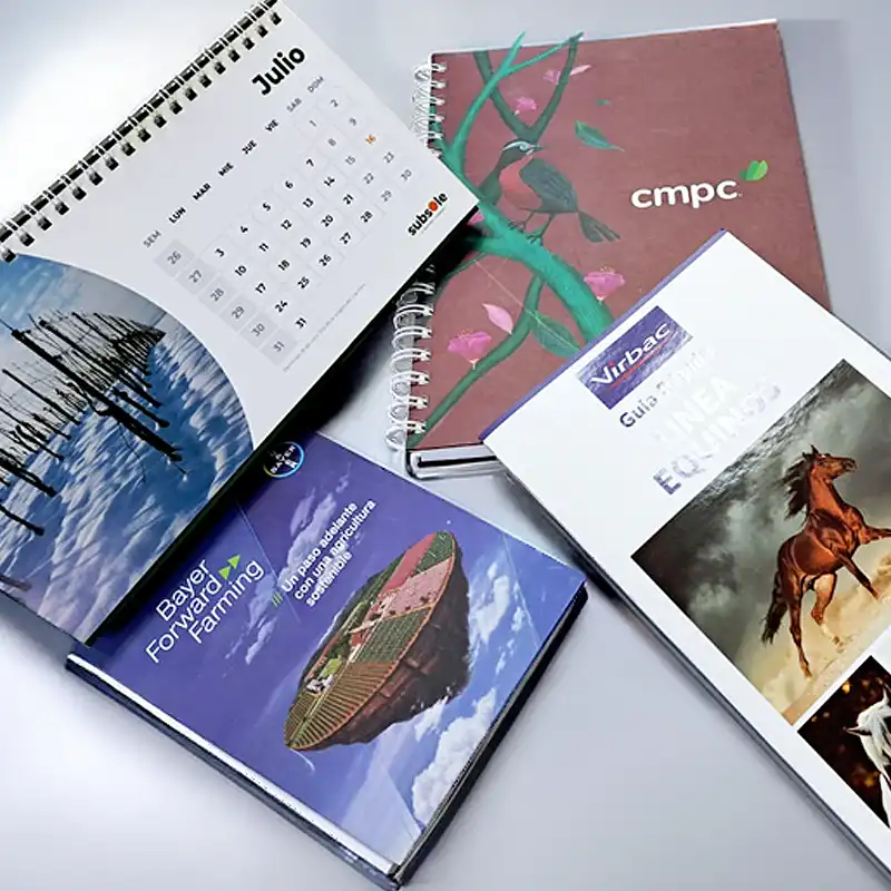 flyers catalogos folletos